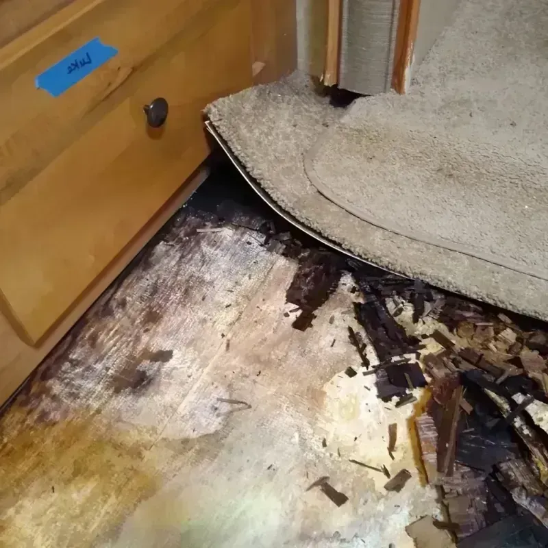 Wood Floor Water Damage in Talbot County, MD